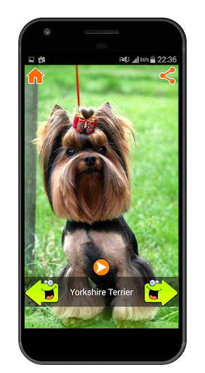 Best Dog Sounds Screenshot 2