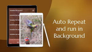 Australian Bird sounds Screenshot 2