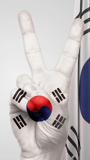 south korea flag wallpaper Screenshot 0