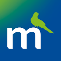 Momentum