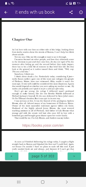 It ends with us book Screenshot 3