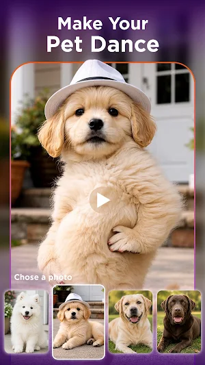 Siven: AI Photo & Video Screenshot 3