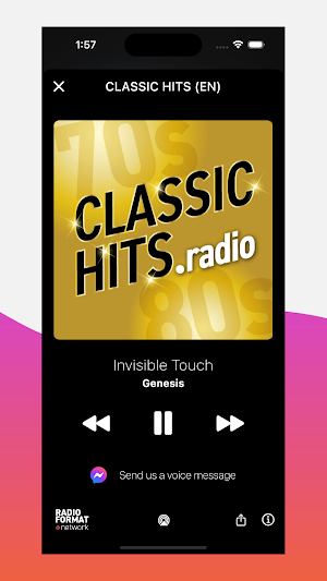 Radio Format thematic radios Screenshot 3
