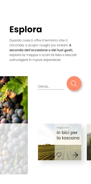 Giro DiVino Screenshot 1