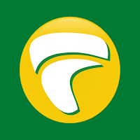 Rede Furnas