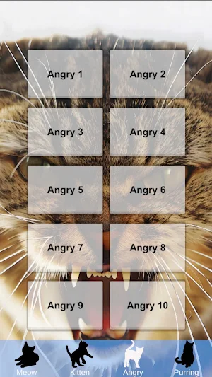 Cat Sounds & Meow Screenshot 2