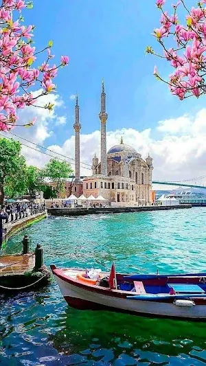 Masjid Wallpapers Screenshot 0