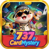 737 CardMystery
