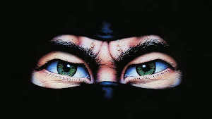 Last Ninja 2 Musics Screenshot 1