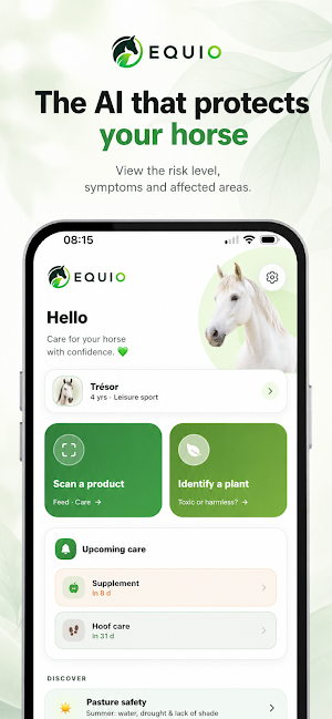 Equio: Horse Safety Screenshot 0