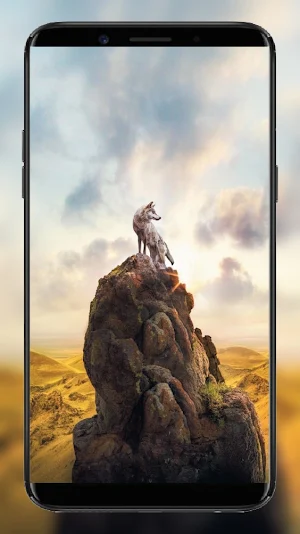 Galaxy Wild Wolf Wallpapers Screenshot 0