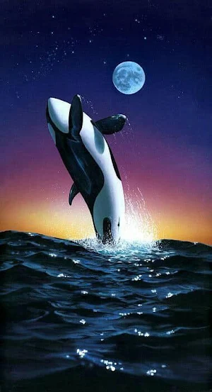 Paus Orca Wallpaper Yi Screenshot 1