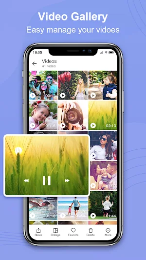 Photo Gallery, Picture Manager - Nuts Gallery Screenshot 2