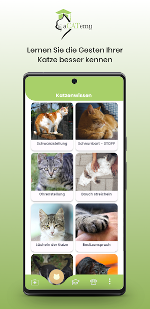 aCATemy Screenshot 3