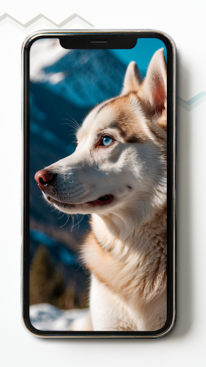 Siberian Husky HD Wallpapers Screenshot 1