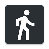 smart cane