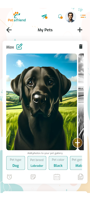 Petafriend: Pet Social App Screenshot 1