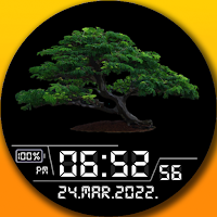 Bonsai Tree