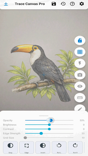 Trace Canvas Screenshot 1