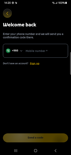Riyadh Parking Screenshot 1