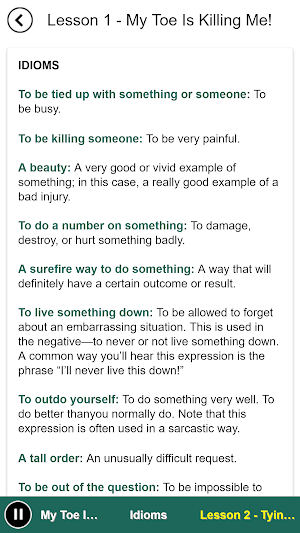 Easy American Idioms Screenshot 2