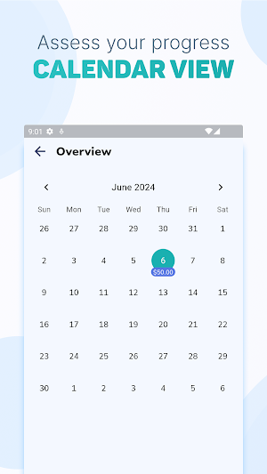 My Pocket - Daily Budgeting Screenshot 2