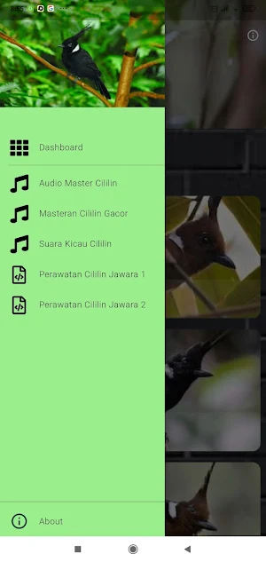 Cililin Masteran Juara Screenshot 1