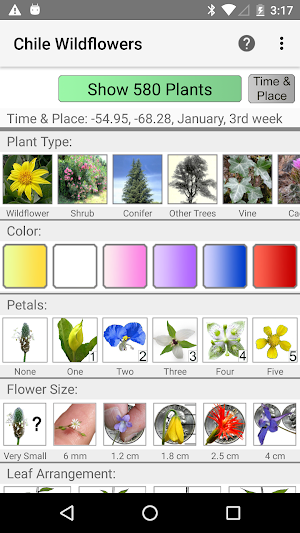 Chile Wildflowers Screenshot 0