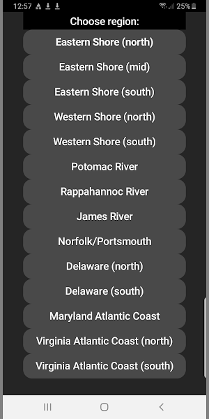 Tide Now Chesapeake Screenshot 2