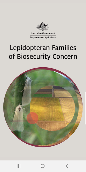 Lepidopteran Families Screenshot 0