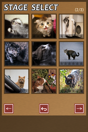 Swapping Cat Puzzle Screenshot 0