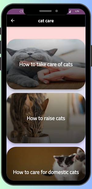 Cat Care Screenshot 1