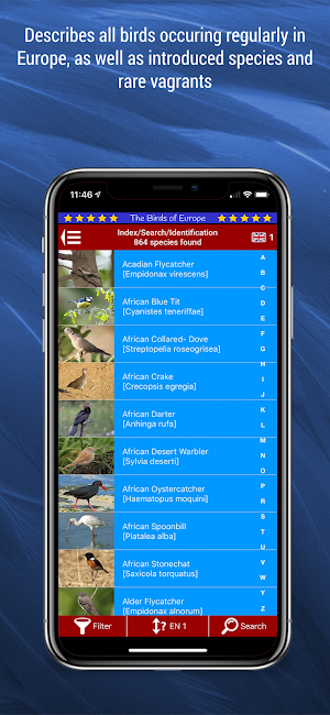 Birds of Europe Screenshot 0