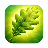 Dendrologie