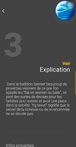 Dico Sereer Screenshot 0