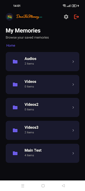 DownTheMemory - Cloud Storage Screenshot 2