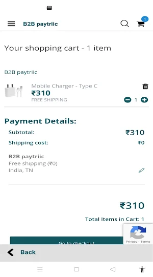 B2B Paytriic Screenshot 3