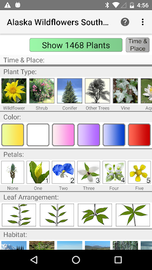 Alaska Wildflowers SC Screenshot 0