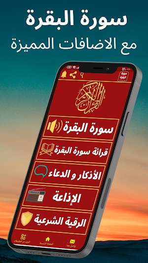 سورة البقرة كاملة: جميع القراء Screenshot 0