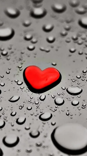 Love Wallpapers 2021 -4K Screenshot 2