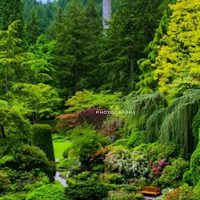 Garden Wallpapers