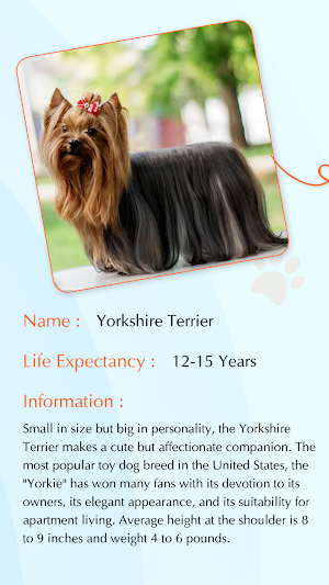 Dog Voice Translator Simulator Screenshot 3