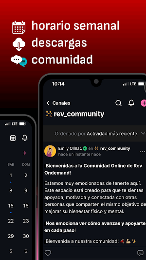 RevOndemand Screenshot 3