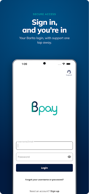 Bpay by Barita Screenshot 3