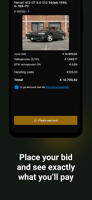 Bright Auctions Screenshot 3