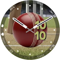 Cricket (Animated)