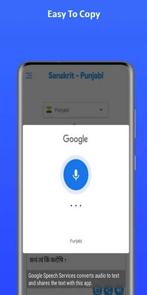 Sanskrit - Punjabi Screenshot 3