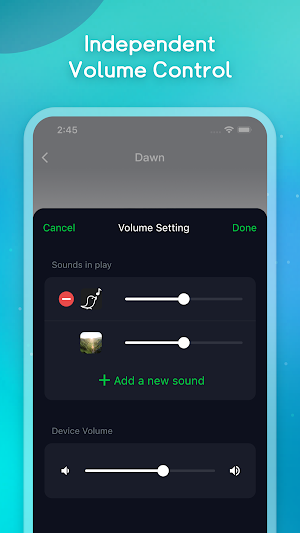 AcornMeditation Screenshot 2