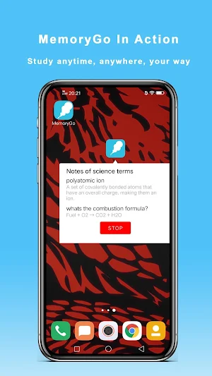 MemoryGo Screenshot 3