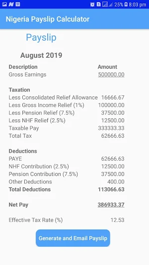 Nigeria Payslip Calculator Screenshot 1